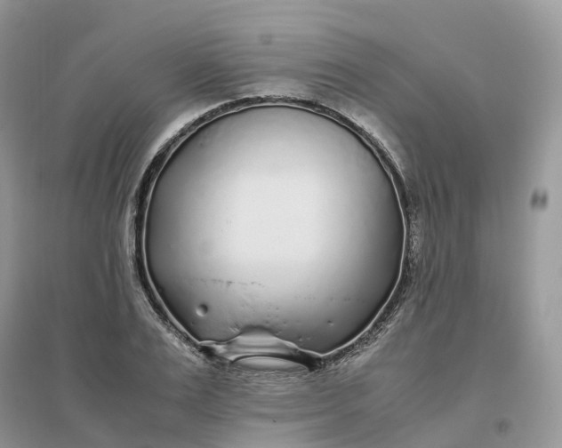X0000096180983200802011338