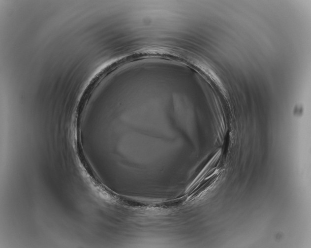 X0000096180984200802011338