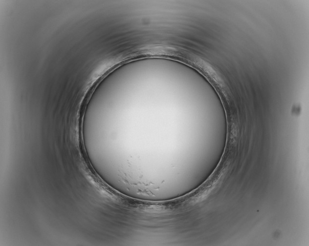 X0000096180986200802011338