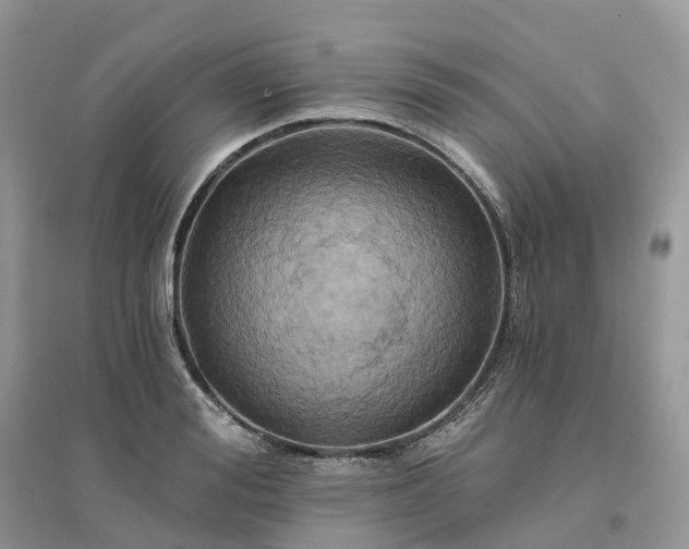 X0000096180988200802011338