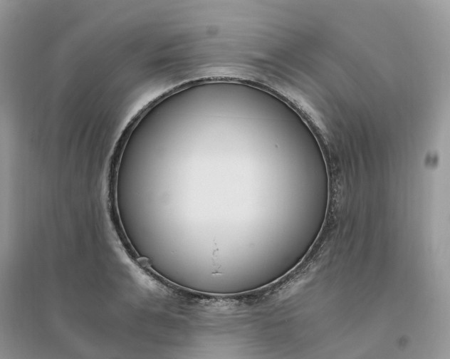 X0000096180991200802011338
