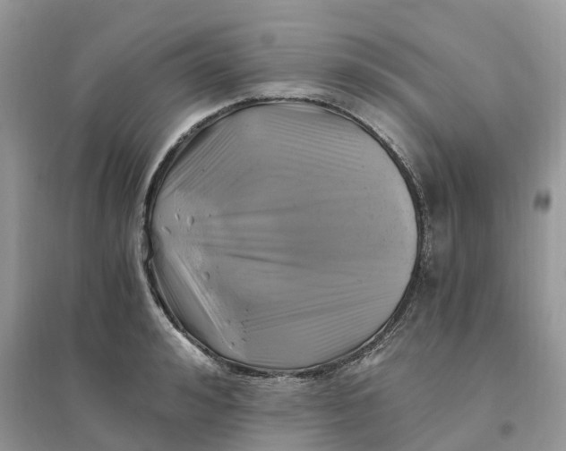 X0000096180992200802011338