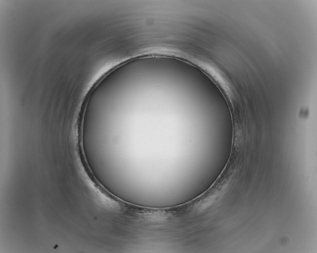 X0000096180999200802011338
