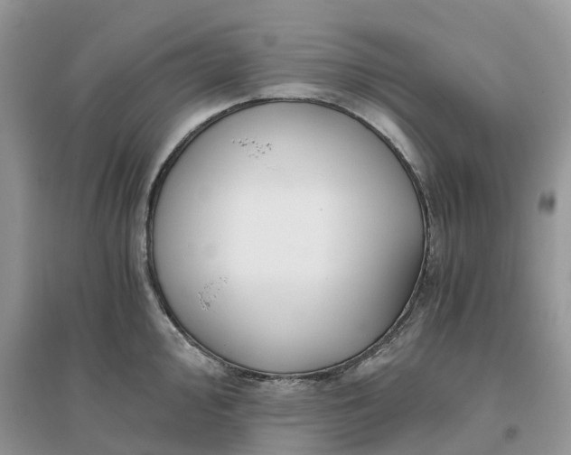X0000096181000200802011338