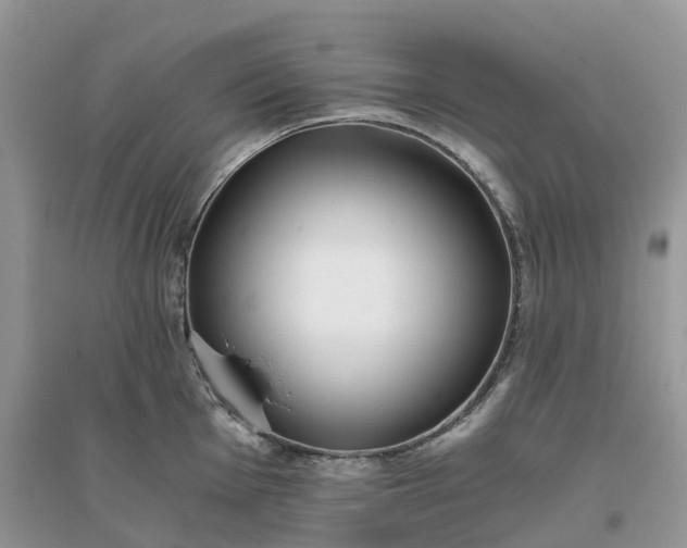 X0000096181001200802011338
