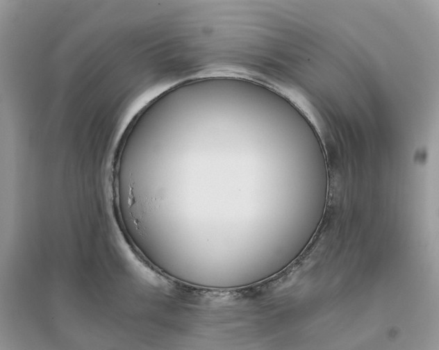 X0000096181003200802011338