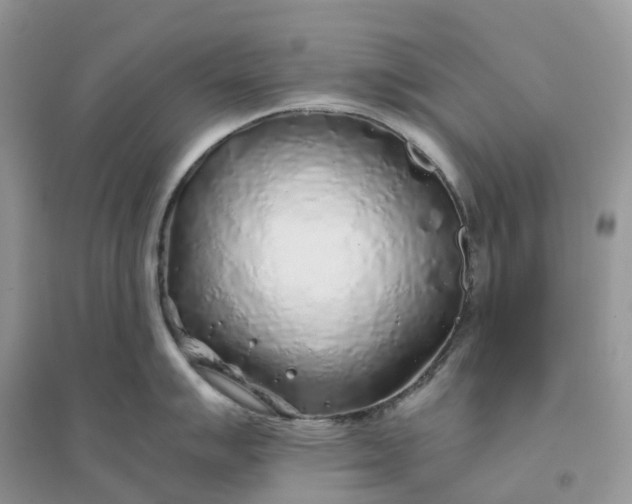 X0000096181007200802011338
