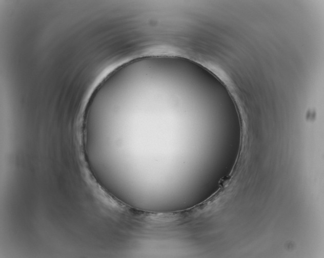 X0000096181008200802011338