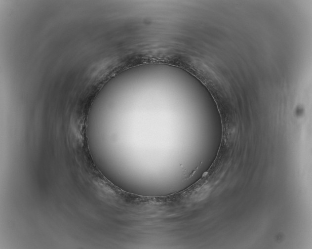 X0000096181010200802011337