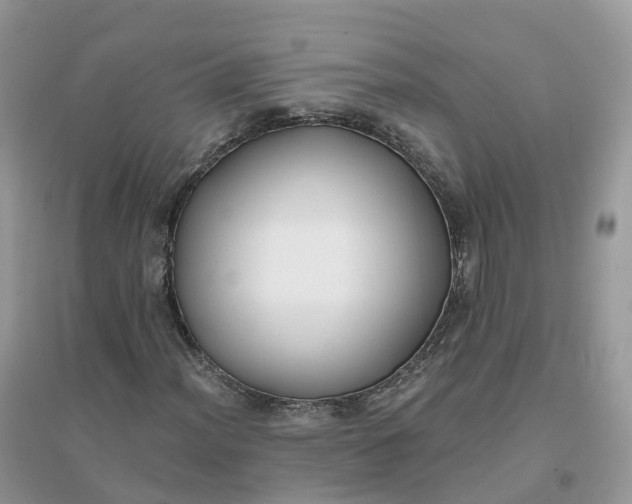 X0000096181012200802011337