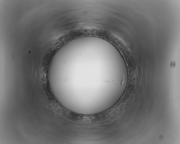 X0000096181013200802011337