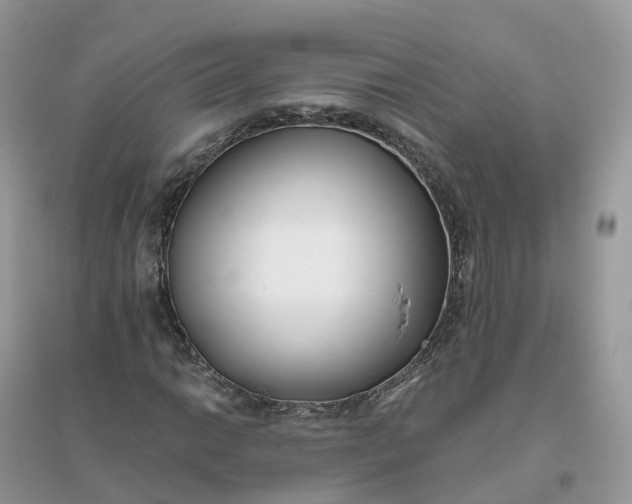 X0000096181014200802011337