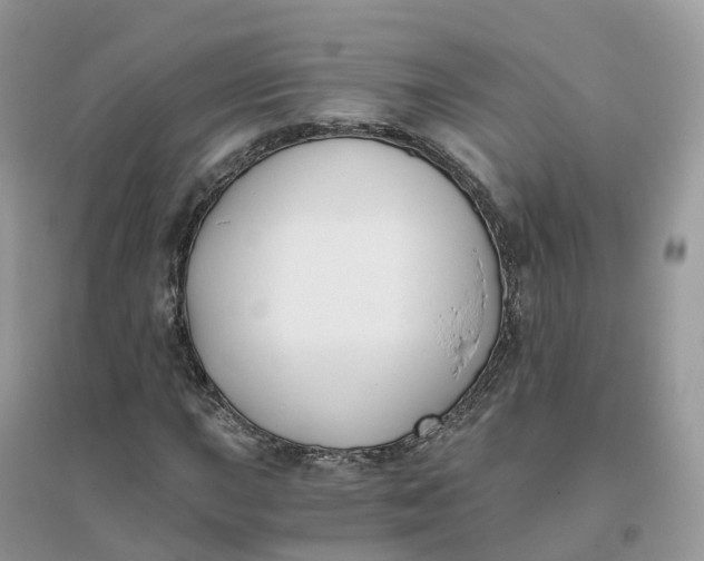 X0000096181015200802011337