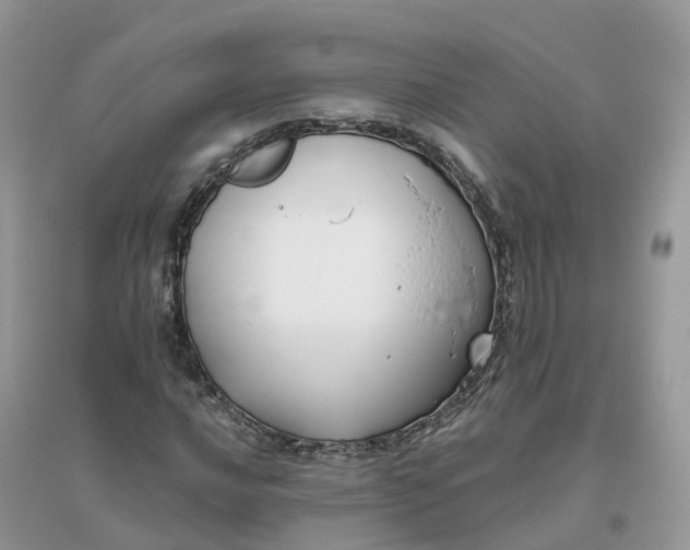 X0000096181016200802011337