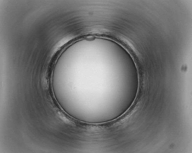 X0000096181018200802011337