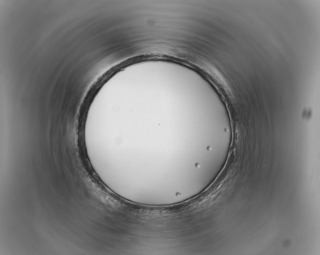 X0000096181020200802011337