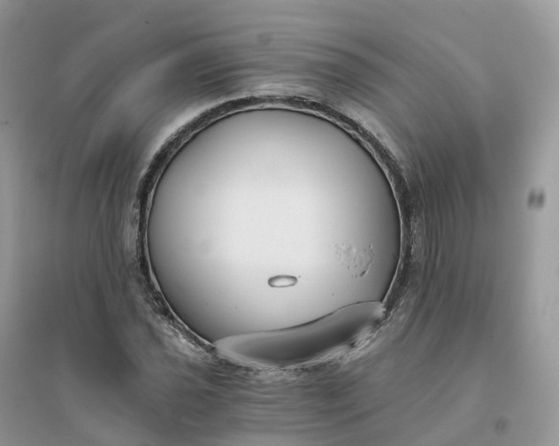 X0000096181021200802011337