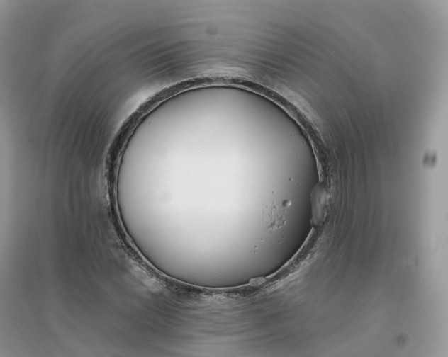X0000096181022200802011337