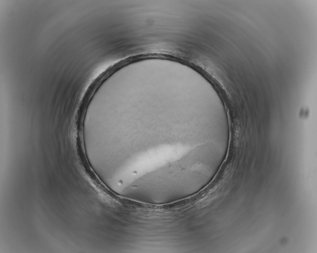X0000096181024200802011337