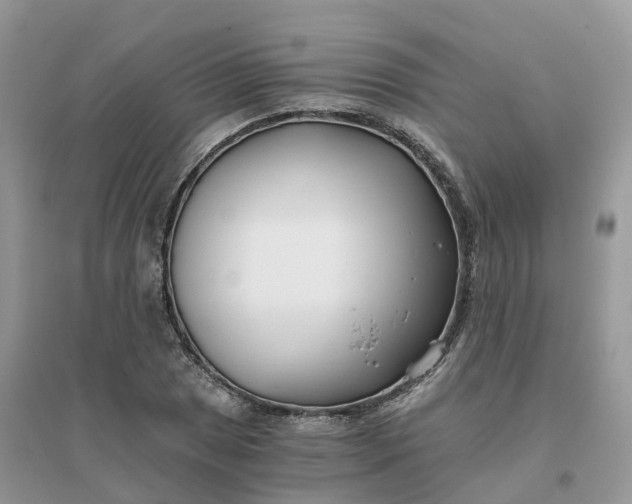 X0000096181025200802011337