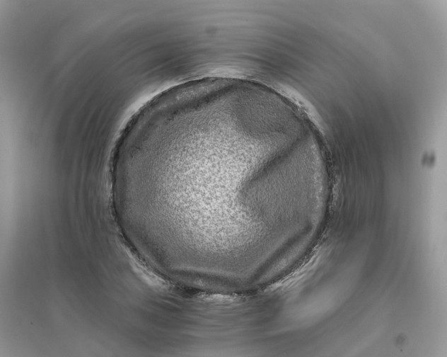 X0000096181027200802011337
