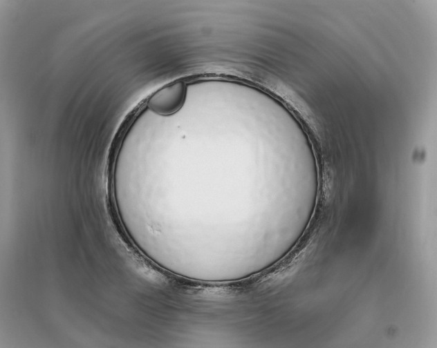 X0000096181028200802011337