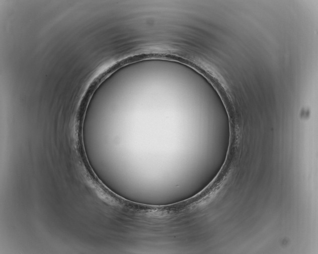 X0000096181029200802011337