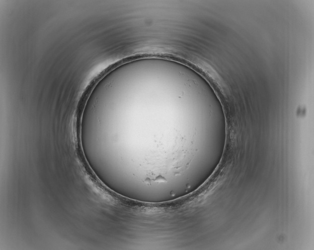 X0000096181030200802011337