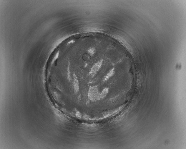 X0000096181031200802011337