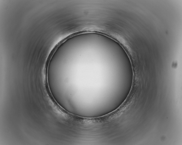 X0000096181032200802011337