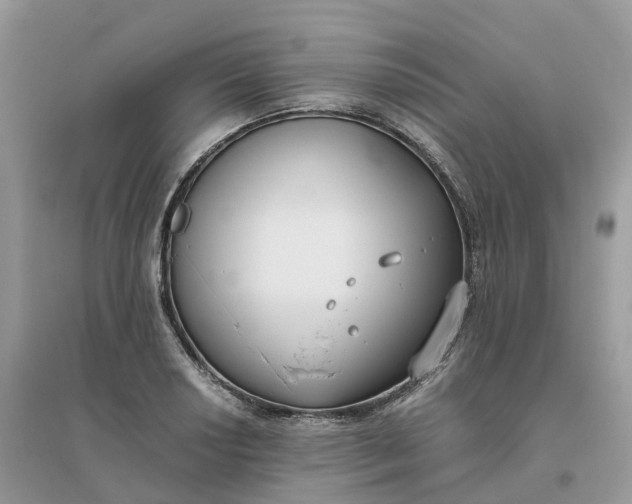 X0000096181034200802011337