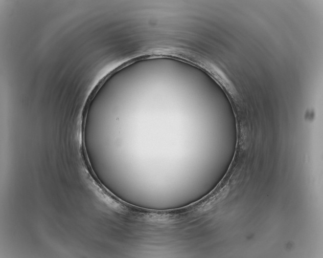 X0000096181036200802011337