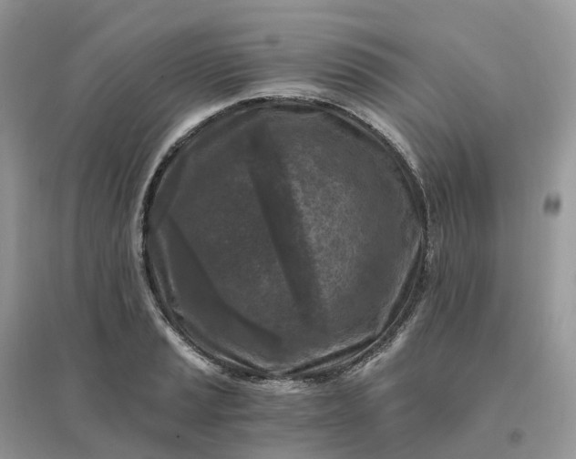 X0000096181037200802011337