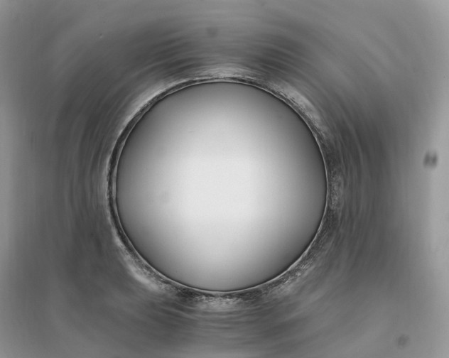 X0000096181039200802011337