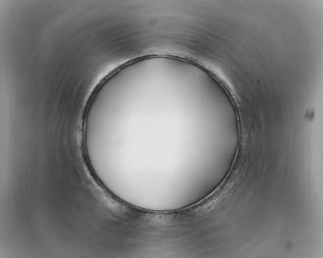 X0000096181040200802011337