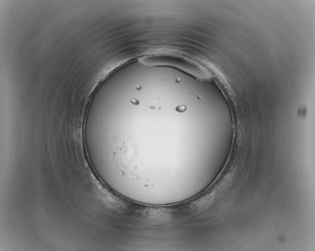 X0000096181041200802011337