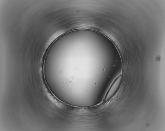 X0000096181042200802011337