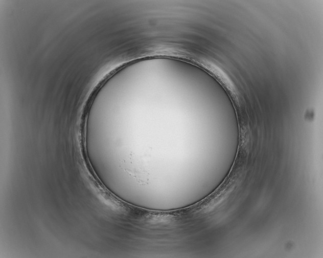 X0000096181043200802011337