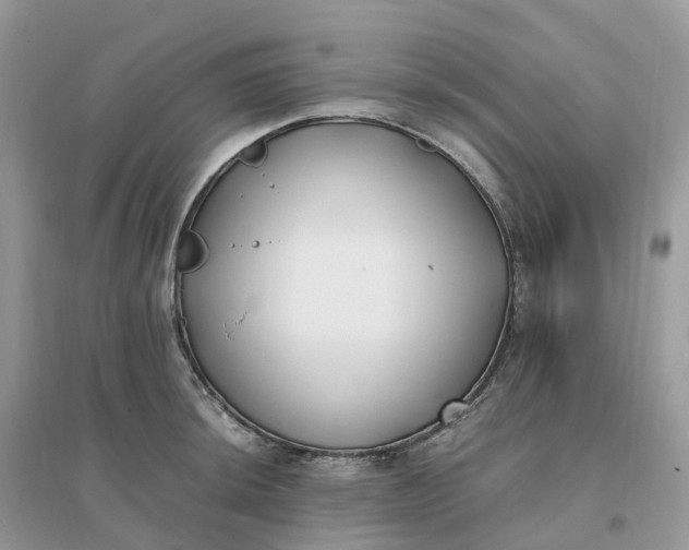 X0000096181044200802011337