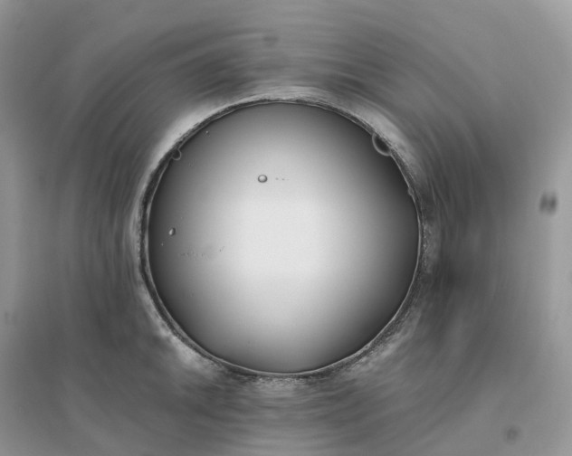 X0000096181046200802011337