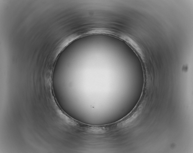 X0000096181049200802011337