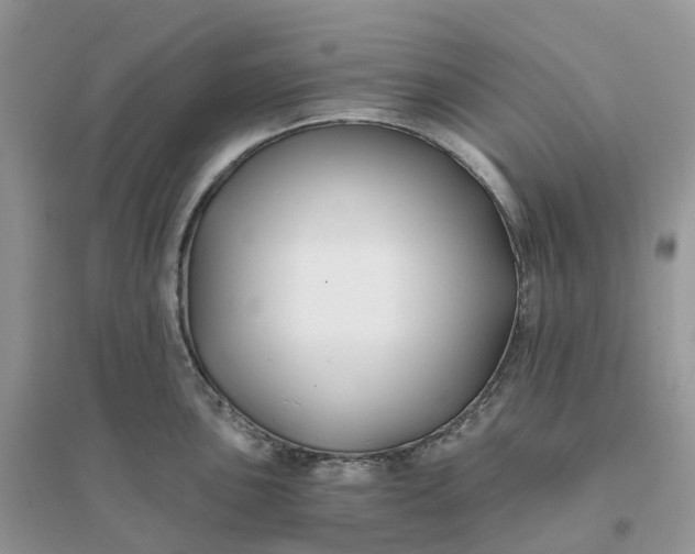 X0000096181051200802011338