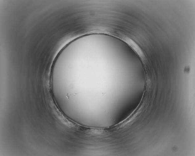 X0000096181052200802011338