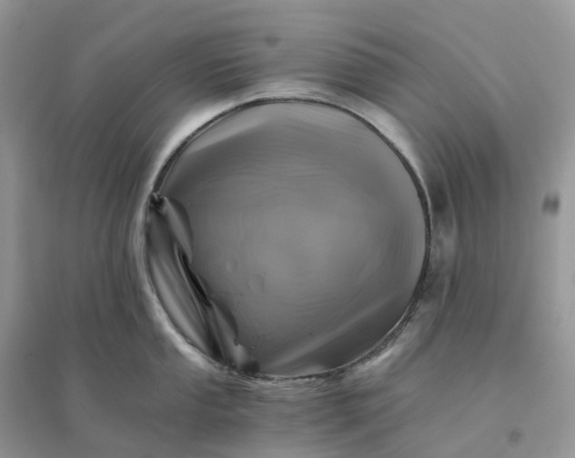 X0000096181053200802011338