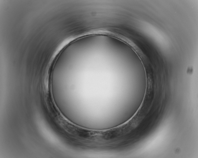 X0000096181054200802011338