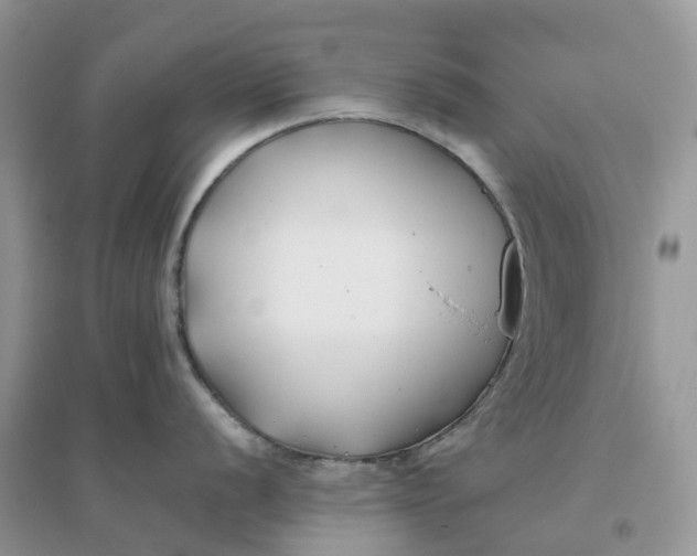 X0000096181056200802011338