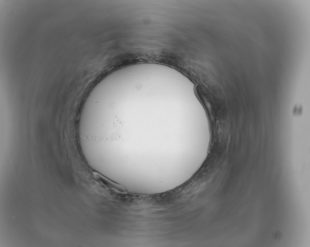 X0000096181057200802011337
