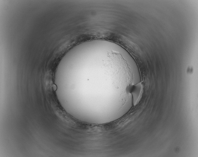 X0000096181058200802011337