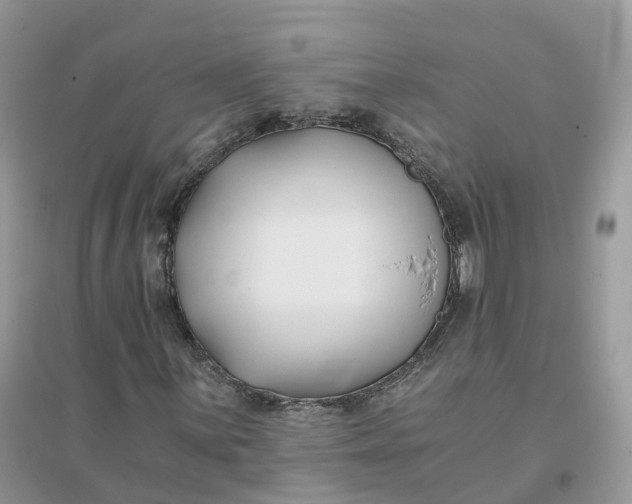 X0000096181059200802011337