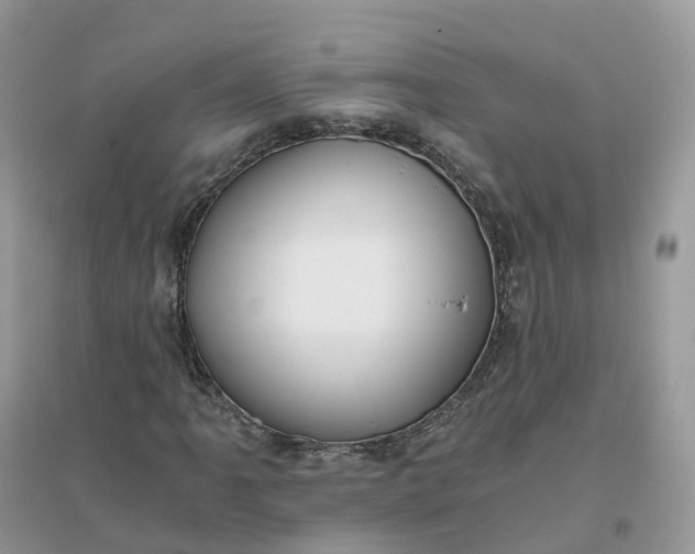 X0000096181061200802011337